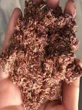 中国·太阳集团tyc138(品牌公司)·Official website